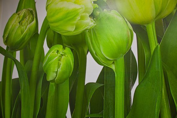 Imagen decorativa.